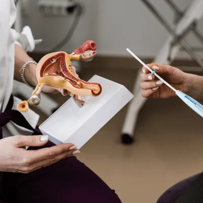 ¿Qué especialista trata la infección vaginal?